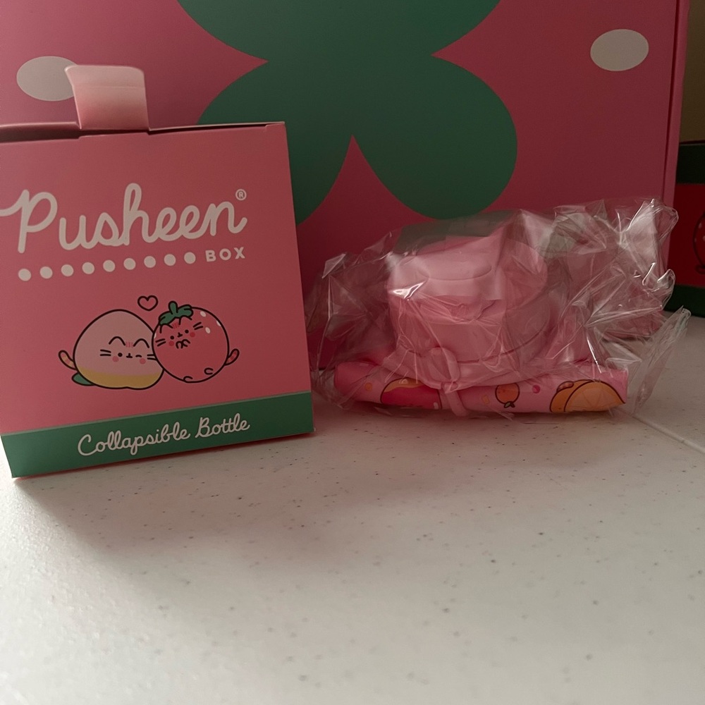 New Pusheen Collapsible Bottle